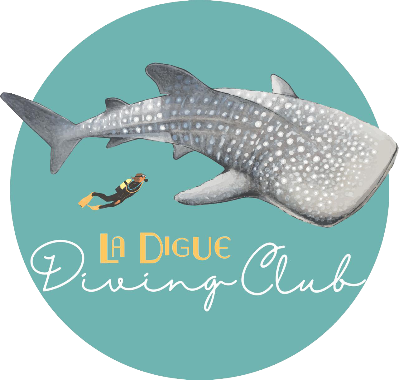 divingclubladigue.com